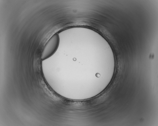 X0000113961177200911061319