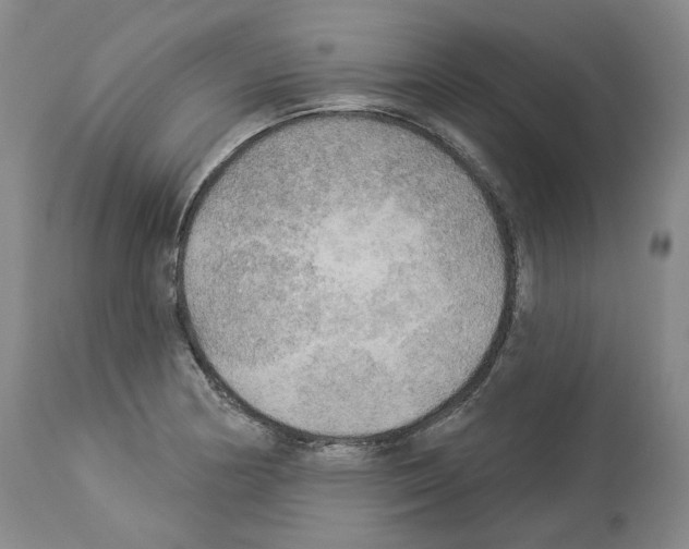 X0000113961178200911061319