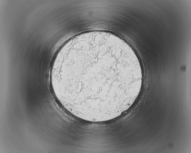 X0000113961179200911061319