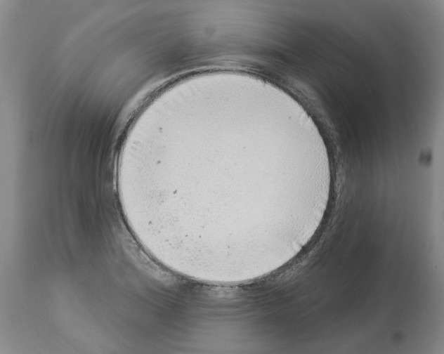 X0000113961180200911061319