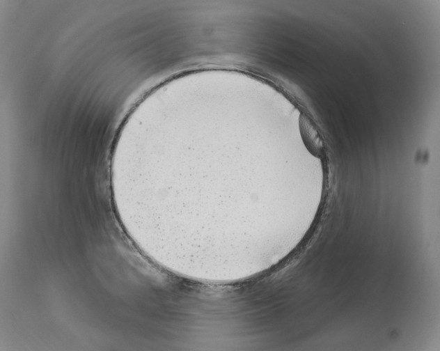 X0000113961184200911061319