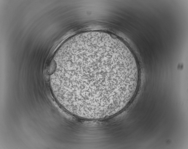 X0000113961185200911061319