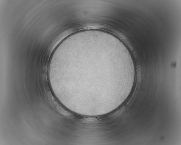 X0000113961186200911061319