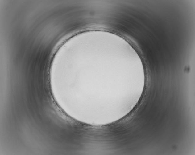 X0000113961192200911061319