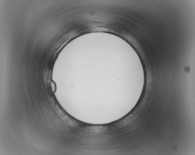 X0000113961193200911061319