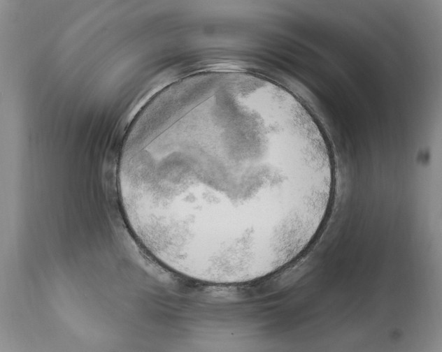 X0000113961194200911061319