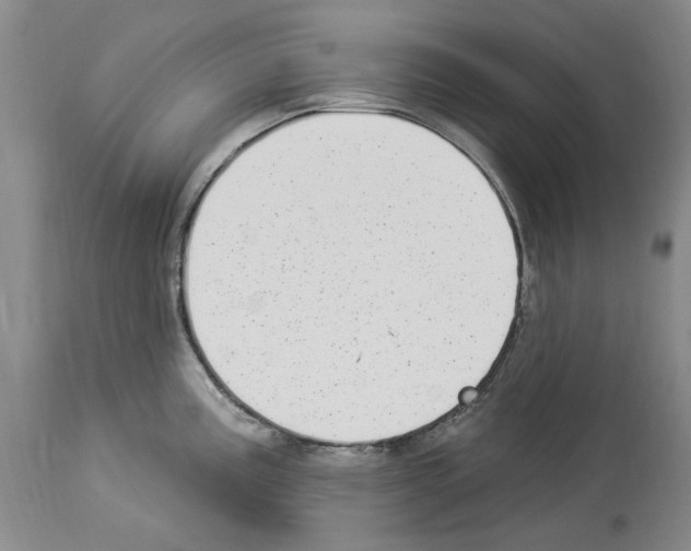 X0000113961195200911061319