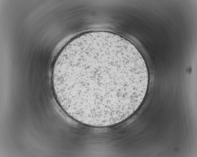 X0000113961196200911061319