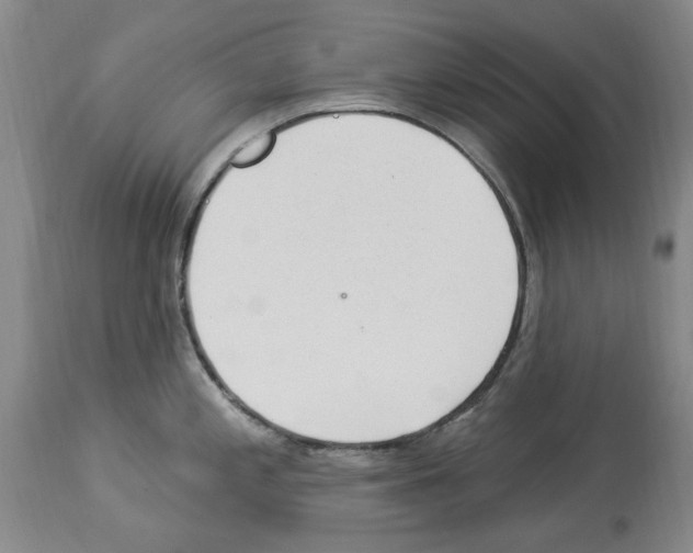 X0000113961197200911061319