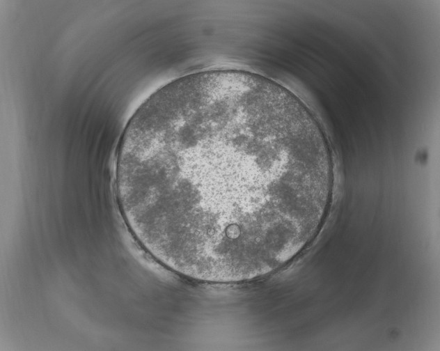 X0000113961198200911061318