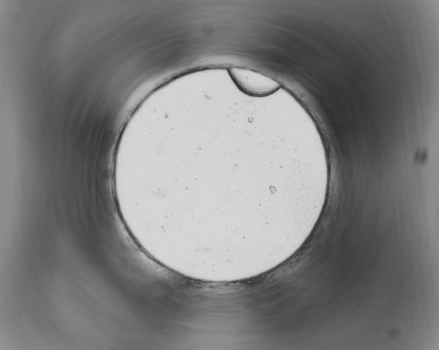 X0000113961199200911061318