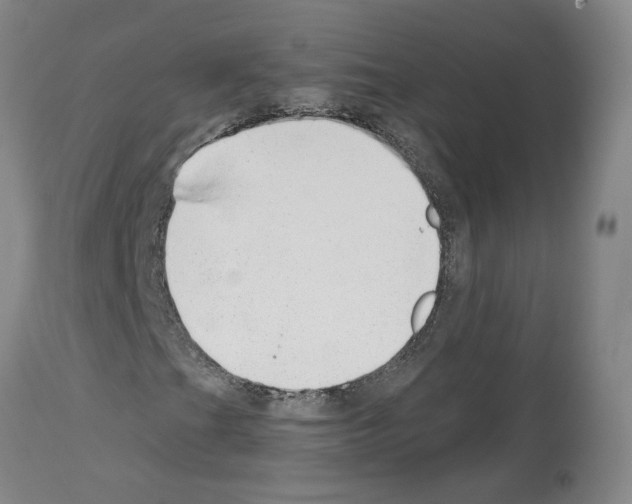 X0000113961201200911061318