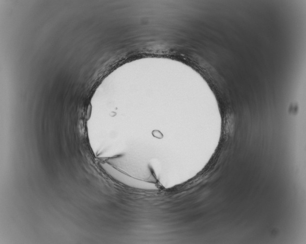 X0000113961202200911061318