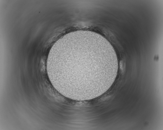 X0000113961203200911061318
