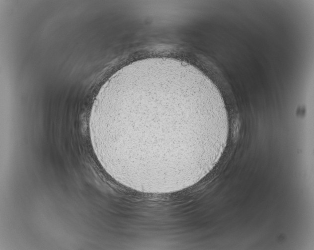 X0000113961204200911061318
