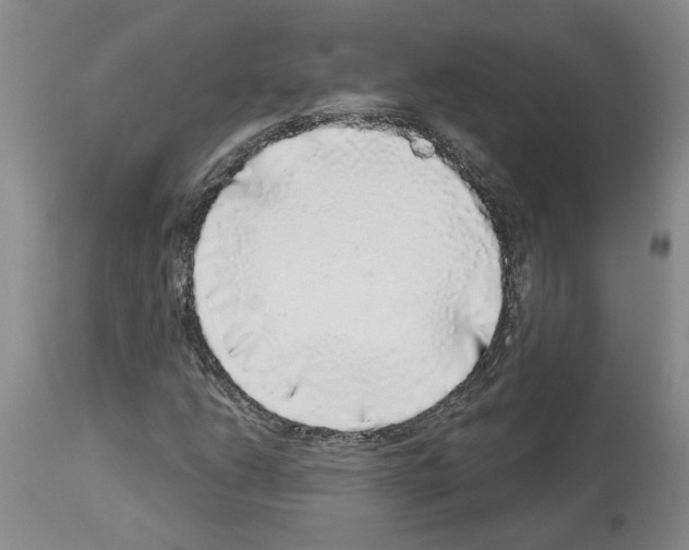 X0000113961206200911061318