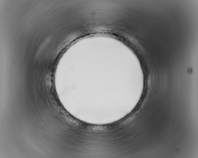 X0000113961209200911061318