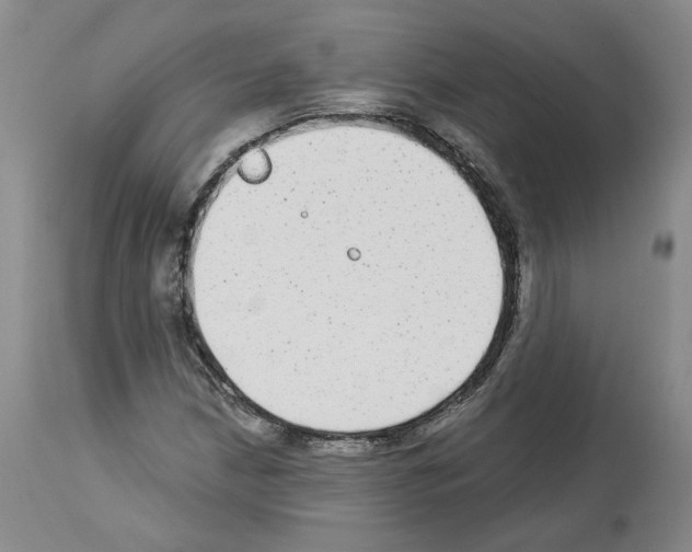 X0000113961210200911061318