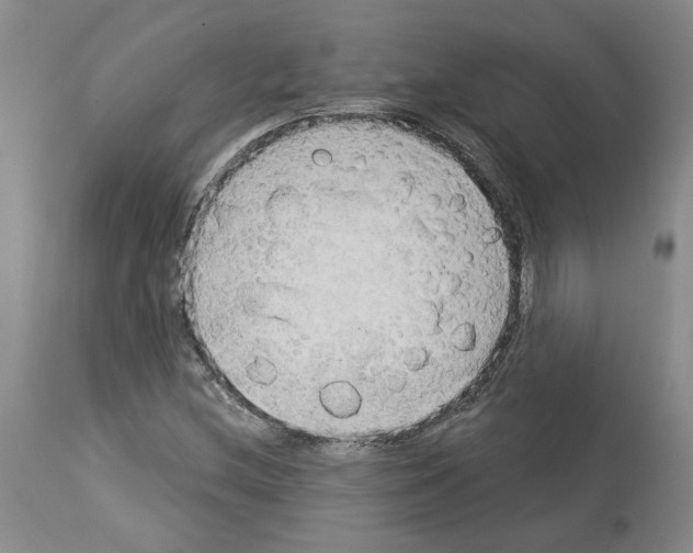 X0000113961212200911061318
