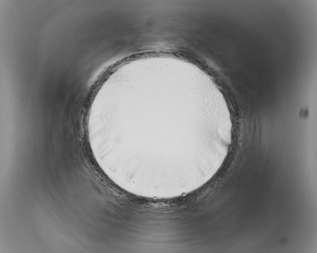 X0000113961214200911061318