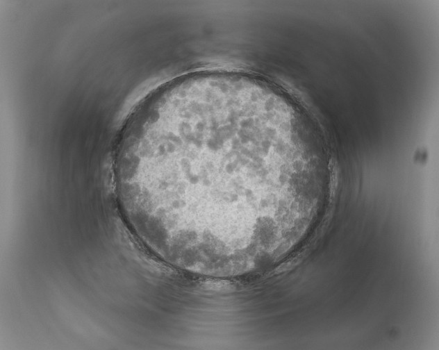 X0000113961215200911061318