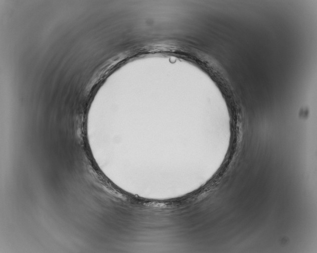X0000113961217200911061318