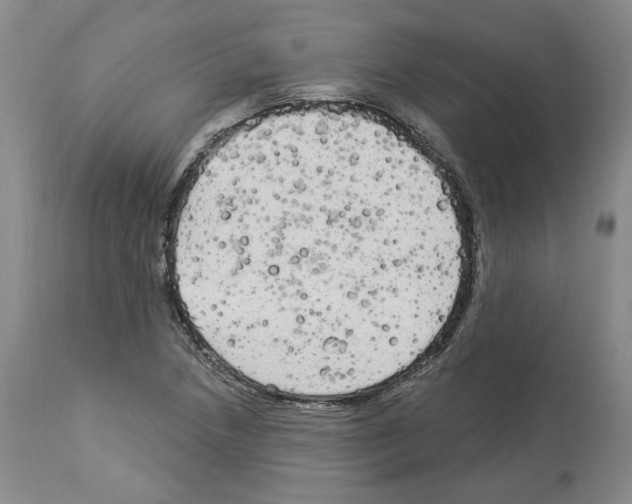 X0000113961218200911061318
