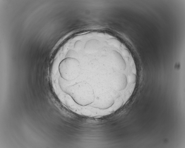 X0000113961220200911061318