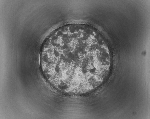 X0000113961221200911061318