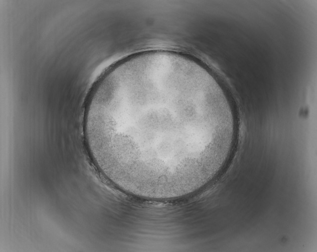 X0000113961222200911061318