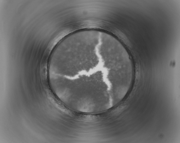 X0000113961226200911061318