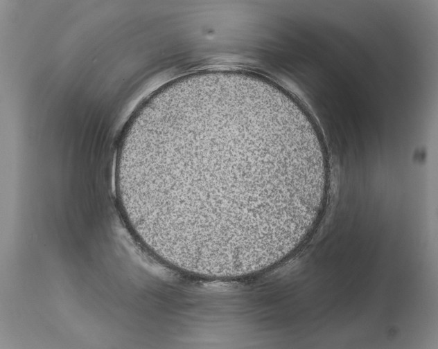 X0000113961227200911061318