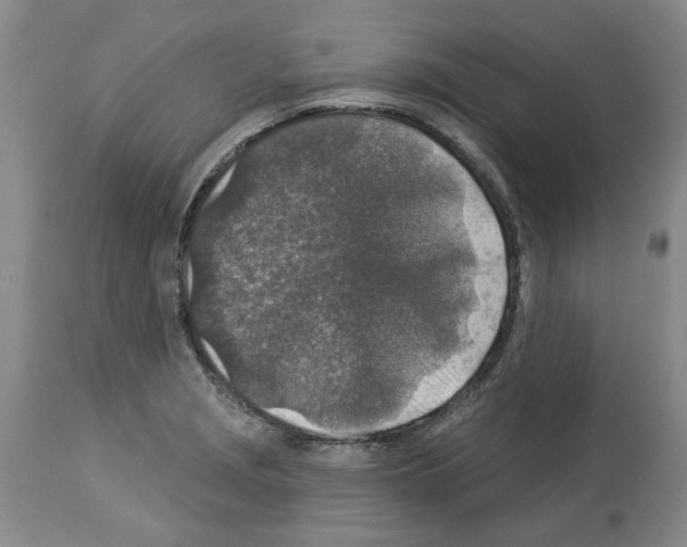 X0000113961229200911061318