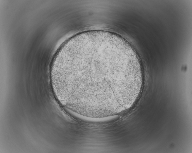X0000113961230200911061318
