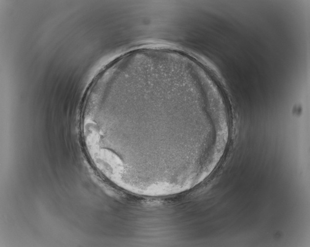 X0000113961231200911061318