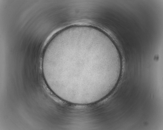 X0000113961232200911061318