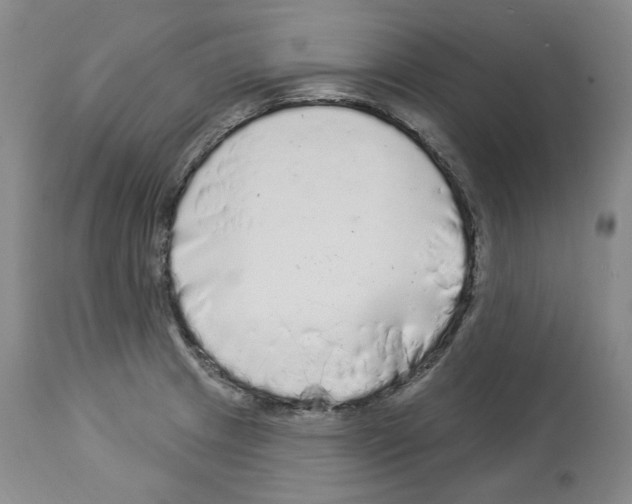 X0000113961233200911061318