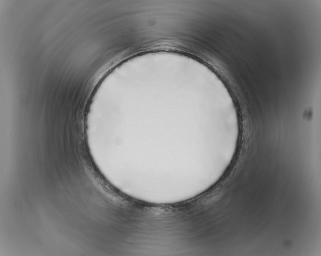 X0000113961234200911061318