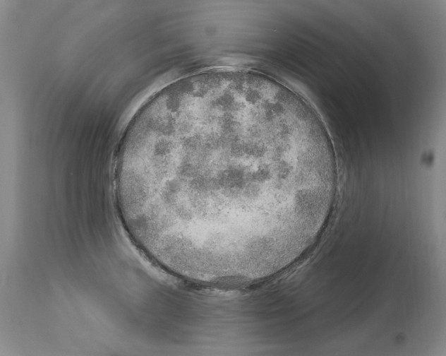 X0000113961235200911061318