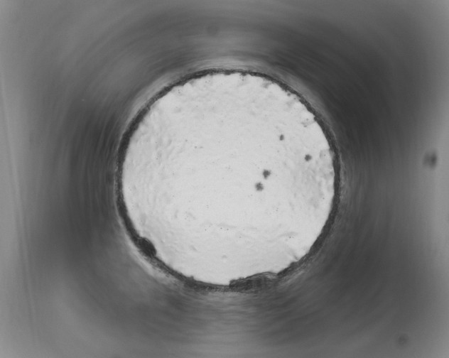 X0000113961237200911061318