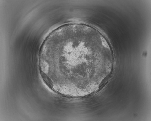 X0000113961239200911061318