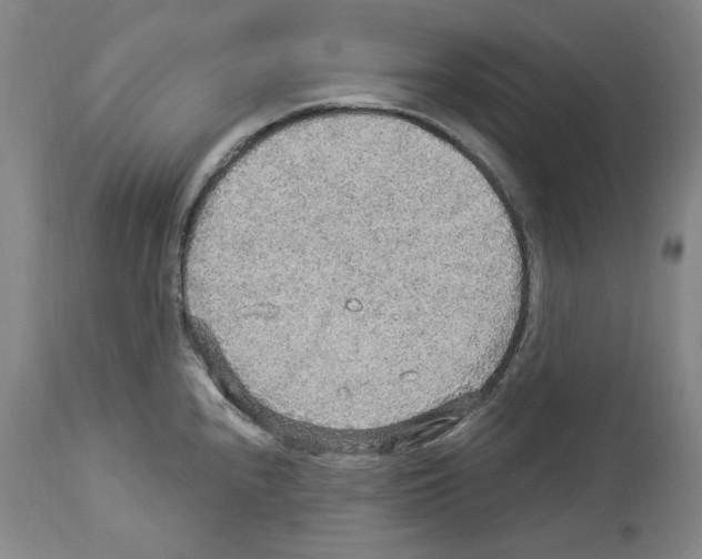 X0000113961240200911061318