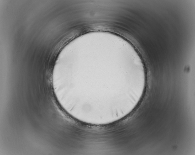 X0000113961241200911061318
