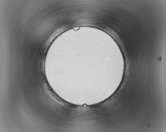 X0000113961242200911061318