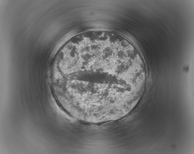 X0000113961243200911061318
