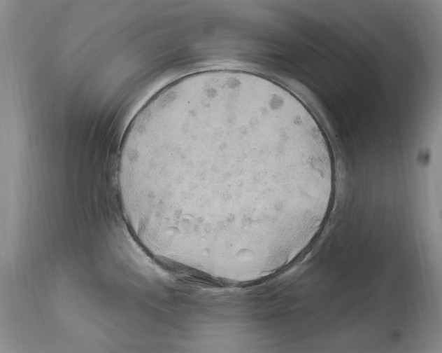 X0000113961244200911061318