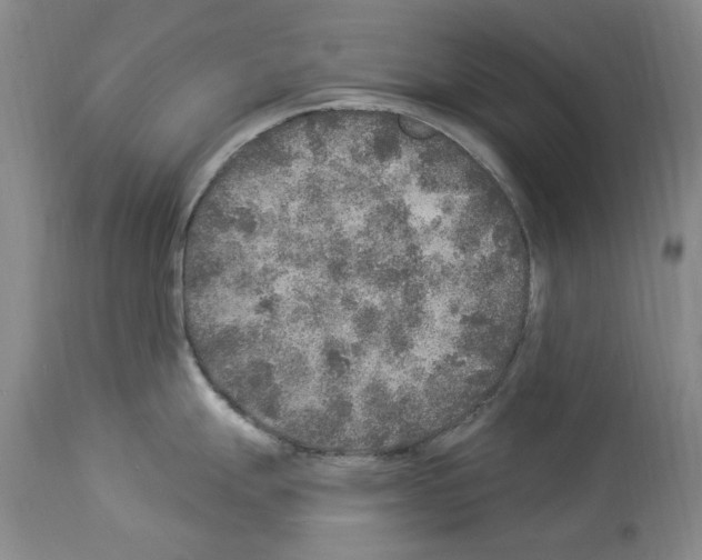 X0000113961247200911061318