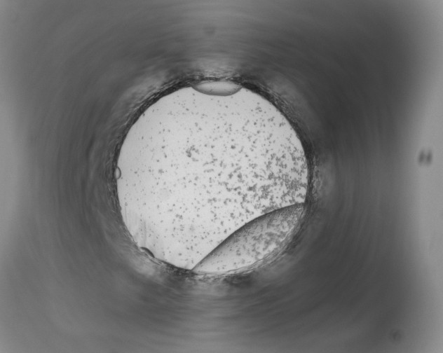 X0000113961249200911061318