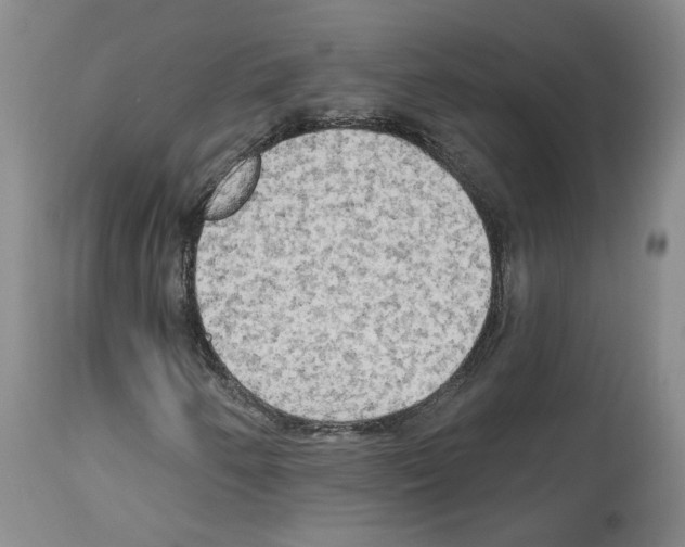 X0000113961250200911061318