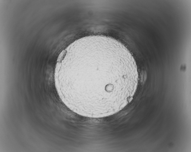 X0000113961251200911061318